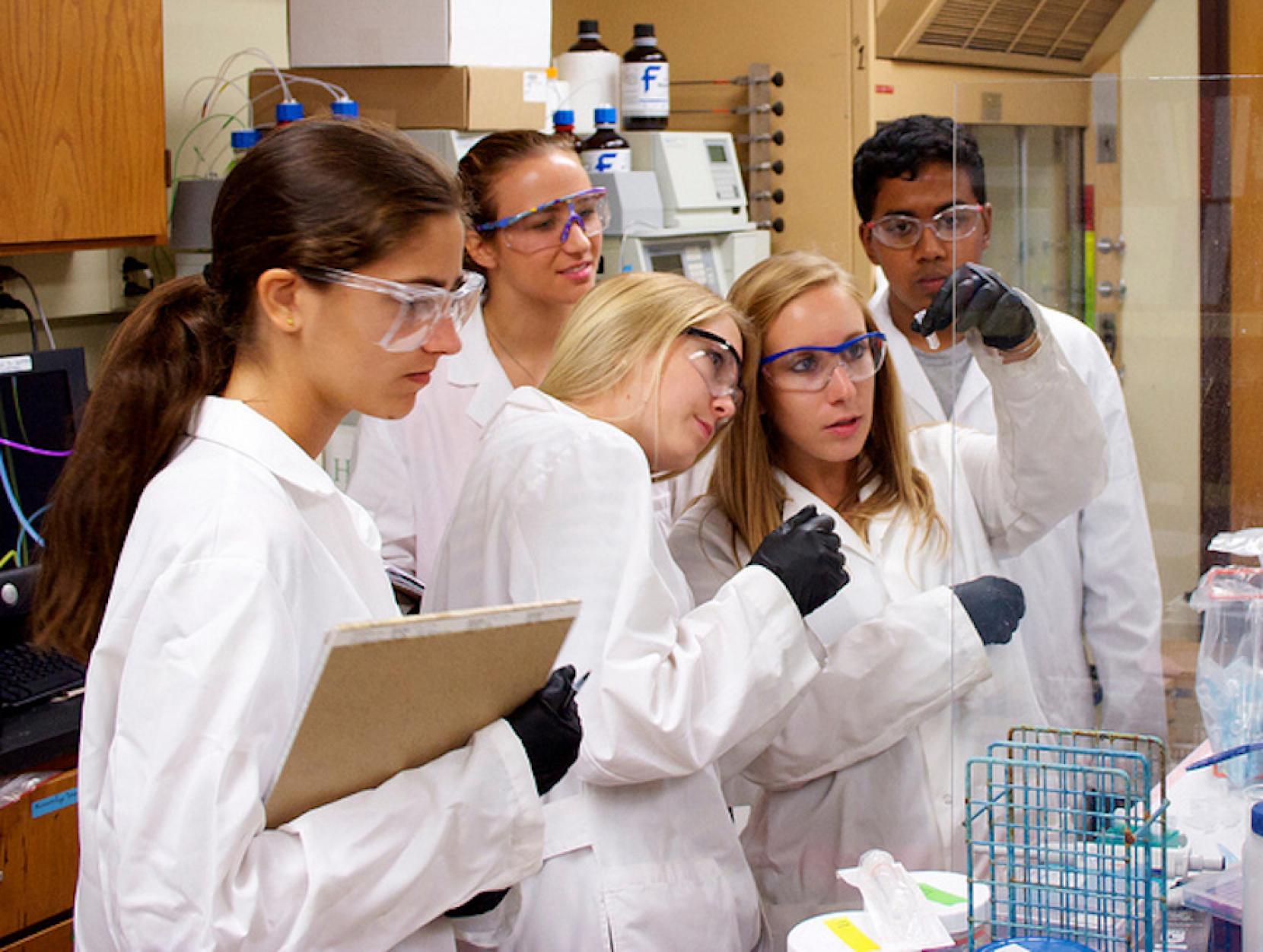 Étudiants en laboratoire